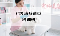 重庆宠物美容萌系造型培训班