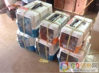 湖州宠物托运湖州湖州小猫托运