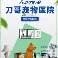 刀哥宠物医院 湖州刀哥宠物医院地址 刀哥宠物医院电话
