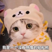 公认“最不臭”的几种猫，你不帮它洗澡，身上还是香香的
