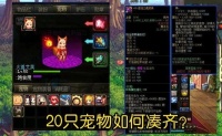 dnf宠物怎么快速获得 dnf快速获得(20个)宠物方法