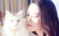 明星都养什么宠物？赵丽颖的松鼠，李冰冰的大蜘蛛，王源的最新奇