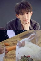 时代峰峻艺人的宠物，王源兔子，千玺小猫，看到张一凡：够狂野！