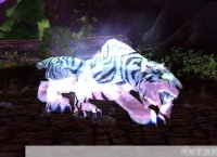 魔兽世界稀有宠物:魔兽世界：追寻稀有宠物的奇幻之旅