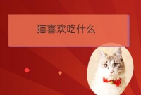 猫病情喜欢吃什么:猫喜欢吃什么食物除了猫粮