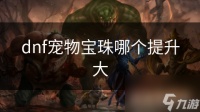 dnf宠物宝珠哪个提升大