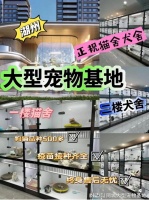 湖州哪里有正规宠物基地?这里买宠物放心还能去实体店挑选宠物