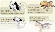 阿猫阿狗1怎么用: 阿猫阿狗1的使用方法详解