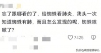 笑疯了！原来宠物医院的八卦也这么炸裂？阿猫阿狗的病五花八门