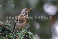 黄化玄凤鹦鹉多少钱？影响价格的因素有哪些？