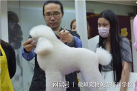 学宠物美容去哪家学校好