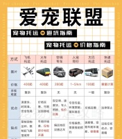 宠物狗狗托运费用及流程介绍（了解宠物狗狗托运所需费用和步骤）