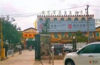 保定市最大的宠物市场在哪里 什么地方买狗便宜