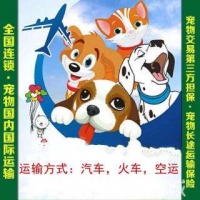 威海宠物托运