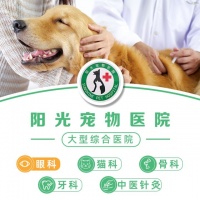 【淼淼宠物诊疗中心】淼淼宠物诊疗中心电话，淼淼宠物诊疗中心地址