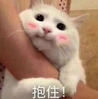 养猫的男生是个什么样的人，这 4 点你认同吗？