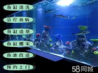 上海浦东高东其他宠物服务电话