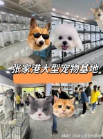张家港宠物市场在哪里?这里实体店选购宠物，安全更值得信赖