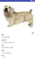 宠物合集免费版下载