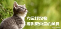 帅克宠物：乘风破浪，续写宠物经济新篇章