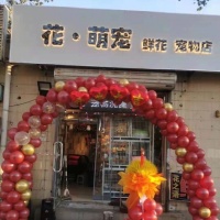 【Mao房萌宠宠物店】Mao房萌宠宠物店电话，Mao房萌宠宠物店地址