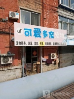 可爱多宠宠物 丹东可爱多宠宠物地址 可爱多宠宠物电话