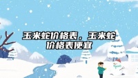 玉米蛇价格表，玉米蛇价格表便宜