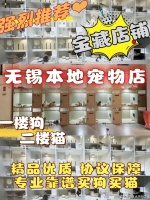 无锡目前哪里有狗市猫市？（无锡）这里是优质选宠物地，宠物界的天堂！