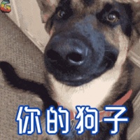 狗什么样的好看