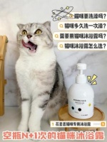 什么能代替猫沐浴露？洗猫必备替代品！