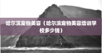 哈尔滨宠物美容（哈尔滨宠物美容培训学校多少钱）