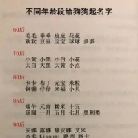 奇葩搞怪的宠物名字相关阅读