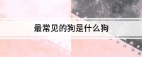 最常见的狗是什么狗
