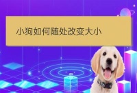 犬病症随地大小便怎么训练:哈士奇随地大小便
