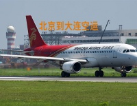 北京空运介绍单独运输宠物的流程