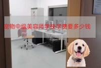 佛山宠物中级美容师学校学费要多少钱佛山没有基础能学好宠物洗护培训多少钱吗
