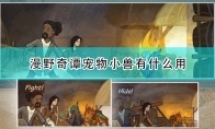 漫野奇谭宠物小兽有什么用