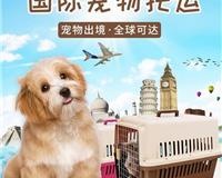 许昌宠物医院收费价目表