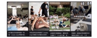 萌宠也健身？这届年轻人正把宠物送进健身房 – 千跃网