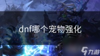 dnf哪个宠物强化