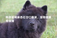 狗感冒喝麻杏石甘口服液，宠物健康有保障