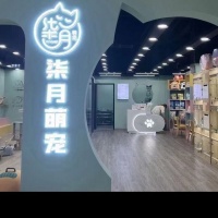 【圣宠宠物店(宣城桃州南路店)】圣宠宠物店(宣城桃州南路店)电话，圣宠宠物店(宣城桃州南路店)地址