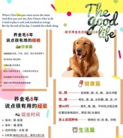 金毛犬的价格及是否昂贵？（了解金毛犬市场价格及购买成本，选择适合自己的宠物伙伴）