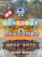常州买猫狗的宠物市场在哪里？这真的很靠谱，还能去实体店挑宠物