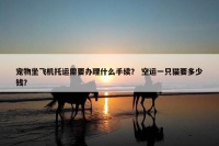 宠物坐飞机托运需要办理什么手续？ 空运一只猫要多少钱？