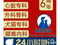 福祐宠物医院·犬猫专科·牙科 漳州福祐宠物医院·犬猫专科·牙科地址 福祐宠物医院·犬猫专科·牙科电话