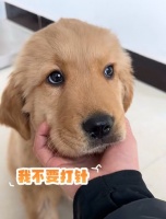 终于找到靠谱宠物医院啦