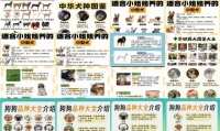 宠物狗品种名字大全图片