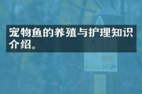 宠物鱼的养殖与护理知识介绍。