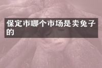 保定市哪个市场是卖兔子的